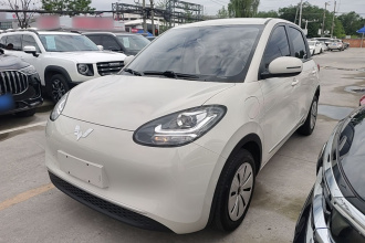五菱汽车 五菱缤果 2024款 203km 轻享款