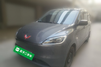 五菱汽车 五菱宏光新能源 2024款 纯电版 300KM 标准型