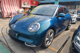 欧拉好猫 2023款 401km标准续航 尊荣型 磷酸铁锂