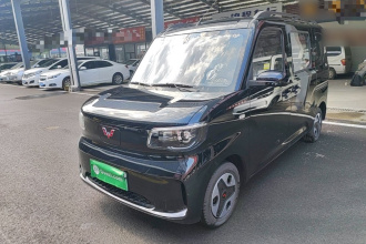 五菱汽车 五菱之光新能源 2025款 305km 进取型