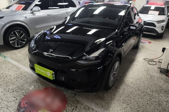 特斯拉 Model Y 2023款 后轮驱动版