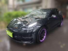 特斯拉 Model 3(进口) 2019款 长续航后驱版