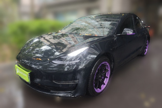 特斯拉 Model 3(进口) 2019款 长续航后驱版
