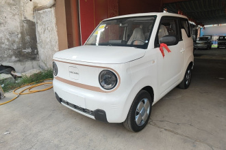 吉利银河 2024款 熊猫mini 200km 耐力熊