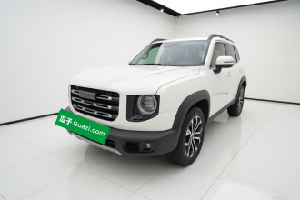 哈弗大狗 2021款 1.5T DCT两驱边牧版