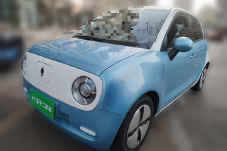 欧拉黑猫 2019款 310km 灵趣版