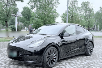 特斯拉 Model Y 2022款 Performance高性能全轮驱动版