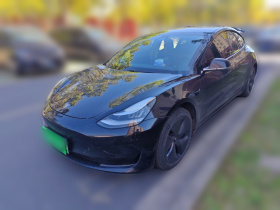 特斯拉 Model 3 2019款 标准续航后驱升级版