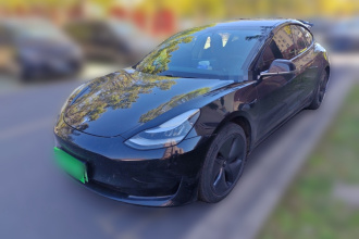 特斯拉 Model 3 2019款 标准续航后驱升级版