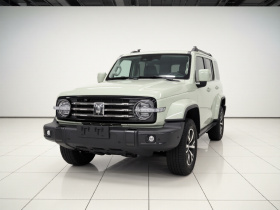 坦克300 2021款 城市版 2.0T 很有型