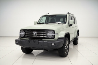 坦克300 2021款 城市版 2.0T 很有型