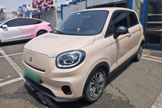 零跑汽车 零跑T03 2021款 400轻享版 磷酸铁锂