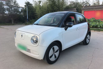欧拉黑猫 2021款 301km 基础型