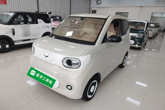 五菱汽车 宏光MINIEV 2024款 第三代 215km 青春版
