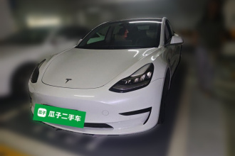 特斯拉 Model 3 2020款 改款 标准续航后驱升级版