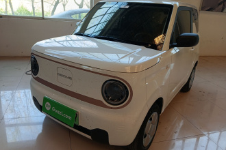 吉利银河 2024款 熊猫mini 200km 耐力熊