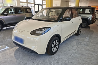 五菱汽车 五菱缤果 2025款 333km 悦享款