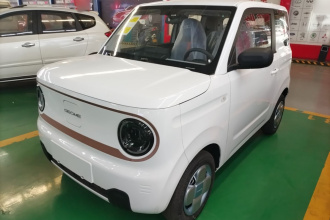 吉利银河 2024款 熊猫mini 200km 耐力熊