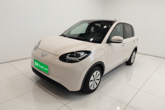 五菱汽车 五菱缤果 2024款 203km 轻享款