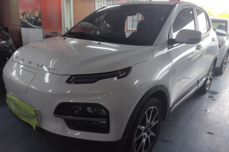 大运 悦虎 2021款 32.85kWh 两驱精灵版