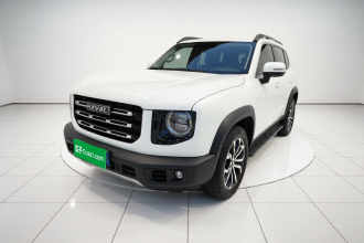 哈弗大狗 2021款 1.5T DCT两驱边牧版