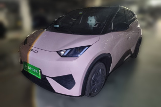 比亚迪 海鸥 2025款 智驾版 305km 活力版
