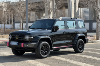 坦克300 2023款 城市版 2.0T 很有型