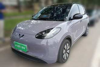 五菱汽车 五菱缤果 2024款 333km 灵犀互联款