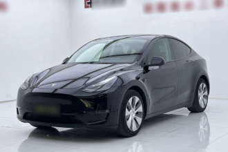 特斯拉 Model Y 2021款 标准续航后驱版