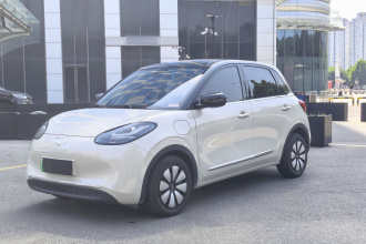 五菱汽车 五菱缤果 2025款 333km 悦享款