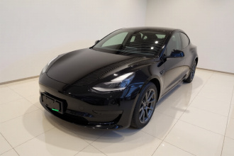 特斯拉 Model 3 2021款 标准续航后驱升级版 3D6