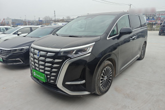 腾势D9 2024款 DM-i 980 四驱旗舰型