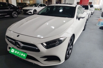 奔驰CLS 2020款 CLS 300 豪华型