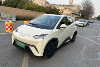 比亚迪 海鸥 2025款 305km 活力版