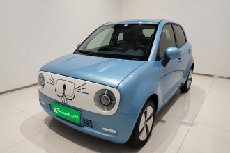 欧拉黑猫 2021款 301km 基础型