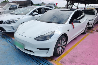 特斯拉 Model 3 2021款 标准续航后驱升级版 3D6