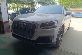 奥迪Q2L e-tron 2019款 Q2L e-tron 纯电智享型