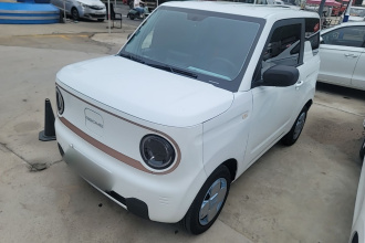 吉利银河 2024款 熊猫mini 200km 耐力熊