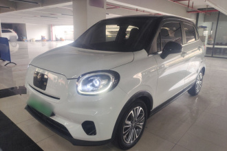 零跑汽车 零跑T03 2021款 400轻享版 磷酸铁锂