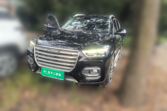 哈弗H6 2020款 1.5GDIT 自动铂金冠军版