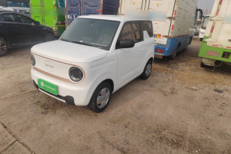 吉利银河 2024款 熊猫mini 200km 耐力熊