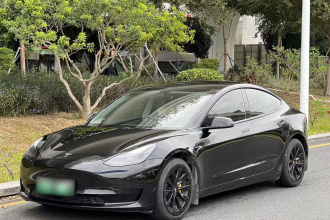 特斯拉 Model 3 2021款 标准续航后驱升级版