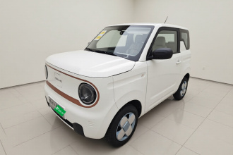 吉利银河 2024款 熊猫mini 200km 耐力熊