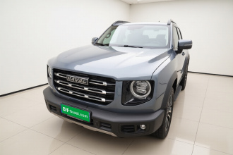 哈弗大狗 2021款 1.5T DCT两驱边牧版