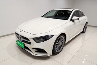 奔驰CLS 2020款 CLS 300 动感型