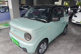 吉利银河 2023款 熊猫mini 200km 耐力熊