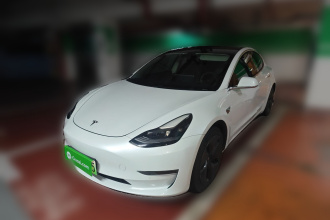 特斯拉 Model 3 2020款 改款 长续航后轮驱动版