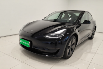 特斯拉 Model 3 2021款 标准续航后驱升级版 3D6