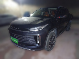 星途凌云 2024款 300T 两驱星耀版