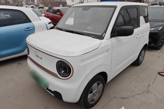 吉利银河 2024款 熊猫mini 200km 耐力熊